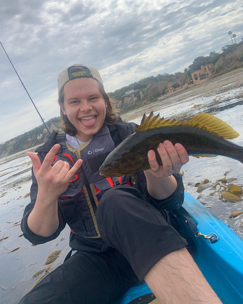 Kelp Bass