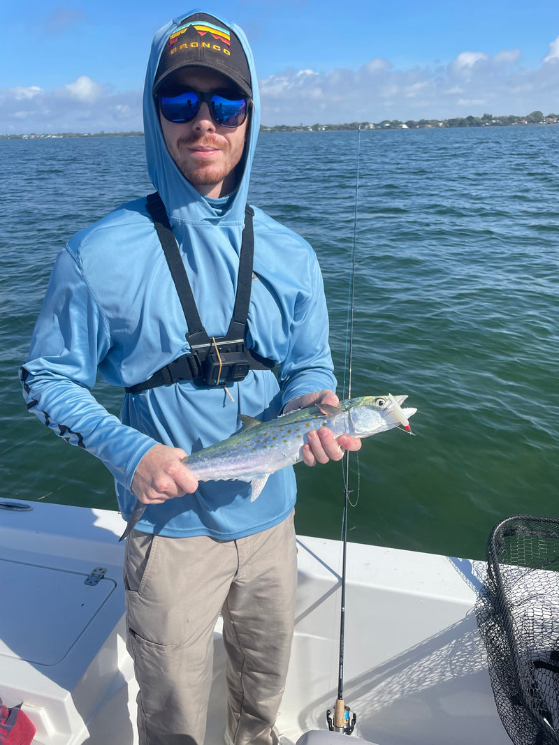 Spanish Mackerel