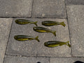 3.3" SlayBait
