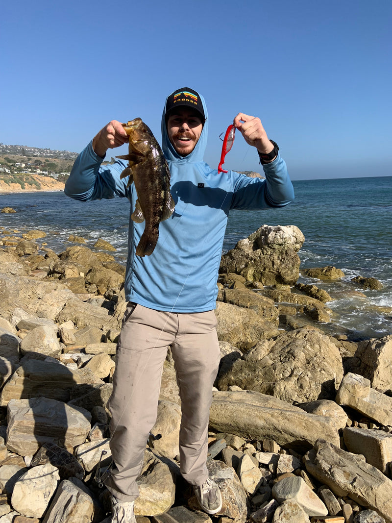 Calico Bass