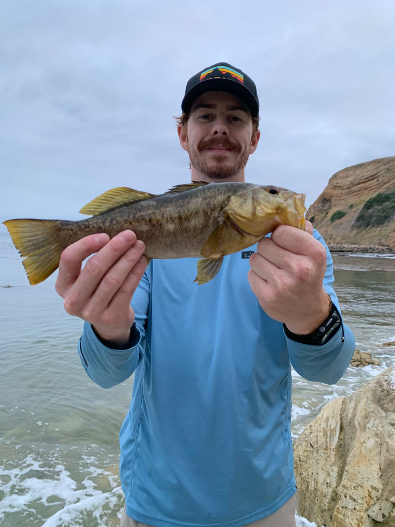 Ocean fish love them too!
