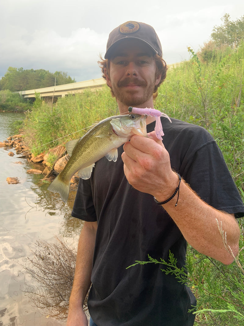 Creek fish love them!